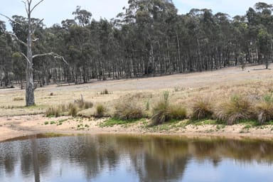 Property Bealiba-Rheola Road, RHEOLA VIC 3517 IMAGE 0