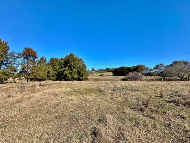 Property Lot 11 & 12 Binalong Street, Harden NSW 2587 IMAGE 0