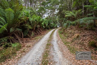 Property Lot Ringle Doddy Road, SOUTH FOREST TAS 7330 IMAGE 0