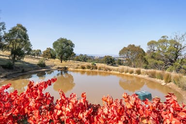 Property 462 Tabletop Road, Bridge Creek  IMAGE 0