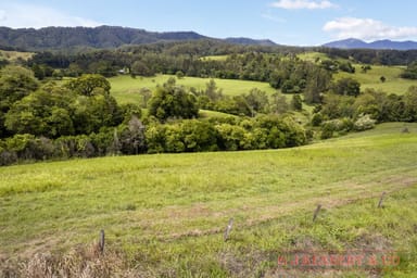 Property 938 North Arm Rd, Argents Hill NSW 2449 IMAGE 0