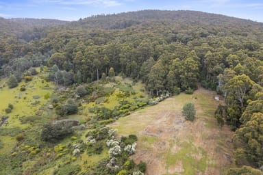 Property 135 Longeys Road, Birchs Bay TAS 7162 IMAGE 0