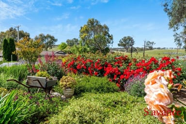 Property 34 Springhead Road, Mount Torrens SA 5244 IMAGE 0