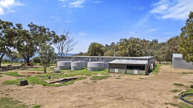 Property 88 Mortimers Road, GLEN DAVIS NSW 2846 IMAGE 0