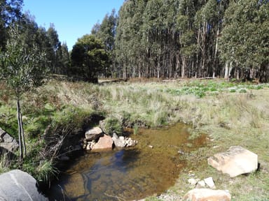 Property Tubbs Road, BLACKWOOD CREEK TAS 7301 IMAGE 0