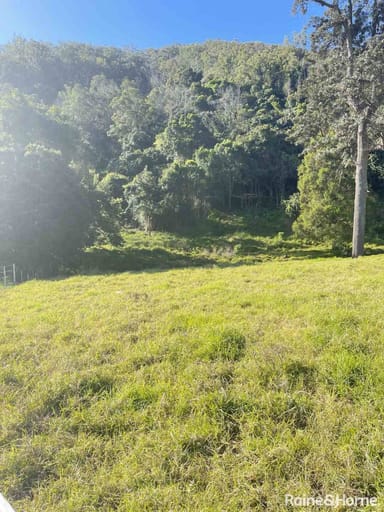 Property Lot 271 Dip Road, Running Creek QLD 4287 IMAGE 0