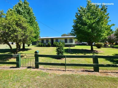 Property 5349 Strathbogie Road, EMMAVILLE NSW 2371 IMAGE 0