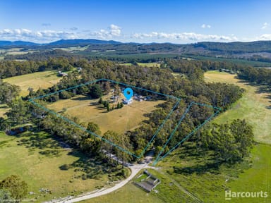 Property 114 Hursts Road, PIPERS RIVER TAS 7252 IMAGE 0