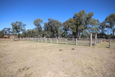 Property 'Beeron' Beeron Road, Beeron, MUNDUBBERA QLD 4626 IMAGE 0