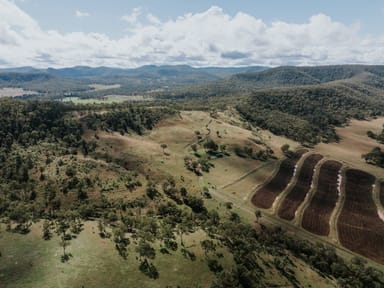 Property 1006 North Branch Road, Goomburra QLD 4356 IMAGE 0