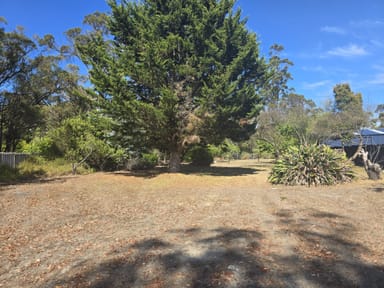 Property Lot 244, 15 Deane Street, MOUNT BARKER WA 6324 IMAGE 0