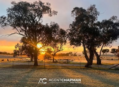 Property 223 Wimbledon Road, Georges Plains NSW 2795 IMAGE 0