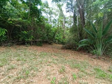 Property Lot 45 Ronald Road, Forest Creek, DAINTREE QLD 4873 IMAGE 0