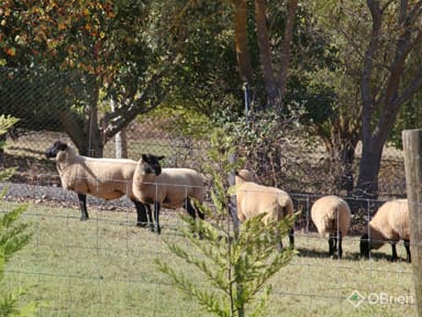 Property 15 Koala Road, Seville VIC 3139 IMAGE 0