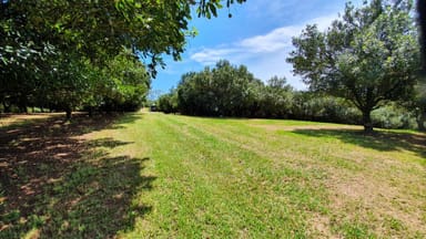 Property 148 Humpty Back Road, Mcleans Ridges NSW 2480 IMAGE 0