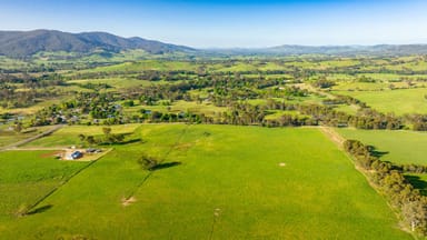 Property . Scholz Road, ALLANS FLAT VIC 3691 IMAGE 0