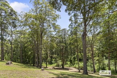 Property 86 Tyalgum Ridge Road, Tyalgum NSW 2484 IMAGE 0