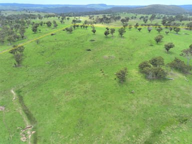 Property 254 Losebys Road, Big Hill NSW 2579 IMAGE 0