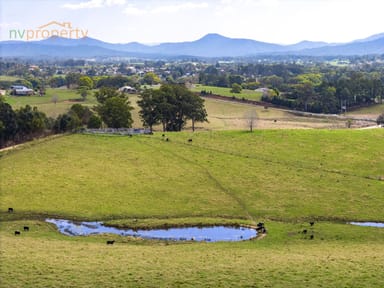 Property Lot12, 938 Wilson  Road, Congarinni North NSW 2447 IMAGE 0