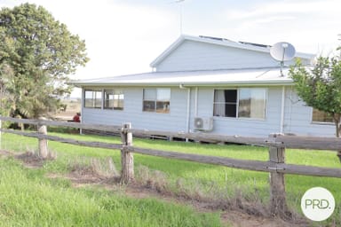 Property 1157 Coonabarabran Road, Mendooran NSW 2842 IMAGE 0