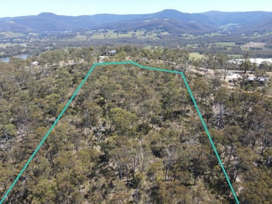 Property Lot 9 Bull Oak Way, GROVE TAS 7109 IMAGE 0