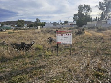 Property 31 James Street, KELLERBERRIN WA 6410 IMAGE 0
