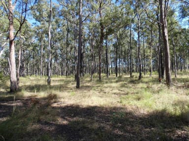 Property Lot 5 Rosedale Road, WATALGAN QLD 4670 IMAGE 0