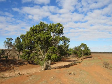 Property "Averies" Chapman Road, COOMOOROO SA 5431 IMAGE 0