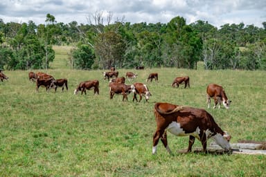 Property 865 Upper Spring Creek Road, Spring Creek QLD 4361 IMAGE 0