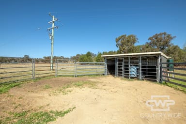 Property 1651 Shannon Vale Road, SHANNON VALE NSW 2370 IMAGE 0