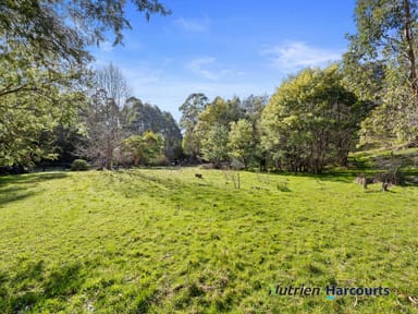 Property 81 Silver Creek Road, FLOWERDALE VIC 3717 IMAGE 0