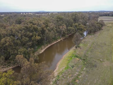 Property 303 North Condobolin Road, WARROO NSW 2871 IMAGE 0