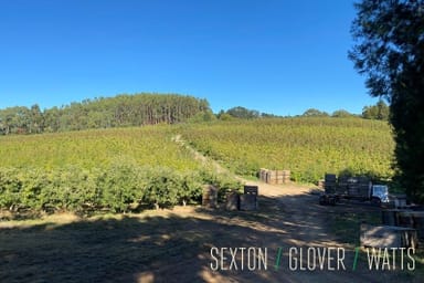 Property 1409 Lobethal Road, Forest Range SA 5139 IMAGE 0