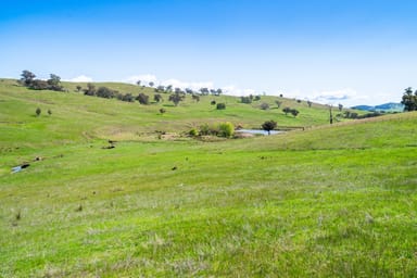 Property 'Part Tarragatta' Vincents Road, Talgarno VIC 3691 IMAGE 0