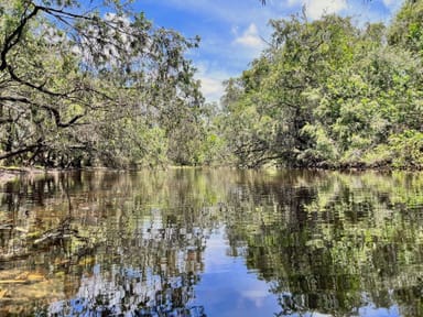 Property Lot 74 Cattle Station Road, ROSEDALE QLD 4674 IMAGE 0