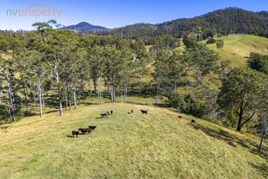 Property 173 Lemans Road, Yarranbella NSW 2447 IMAGE 0
