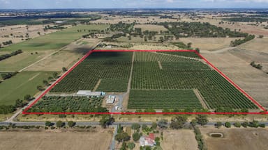 Property 970 Byrneside – Kyabram Road, Merrigum VIC 3618 IMAGE 0