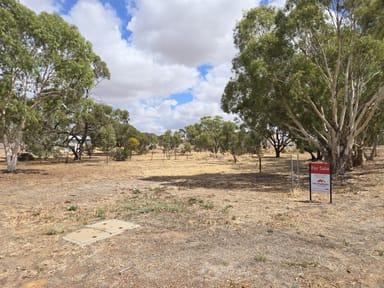 Property 4 Quadrant Street, Pingelly WA 6308 IMAGE 0