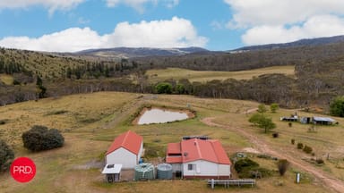 Property 203 Wolgal Road, CAPTAINS FLAT NSW 2623 IMAGE 0