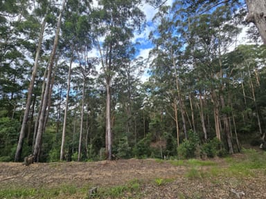 Property 302 Kennaicle Creek Rd, Missabotti NSW 2449 IMAGE 0