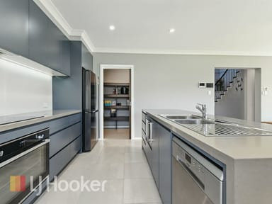 Property 12 Berry Road, Medowie NSW 2318 IMAGE 0