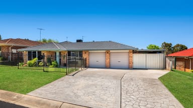 Property 11 Ash Place, Narellan Vale NSW 2567 IMAGE 0