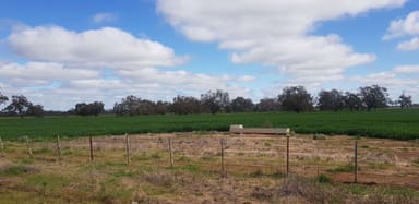 Property C/A 12 & 13 Elmore-Mitiamo Road, MILLOO VIC 3572 IMAGE 0