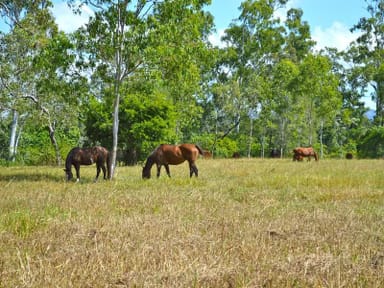 Property 158 Hodzic Road, BIBOOHRA QLD 4880 IMAGE 0