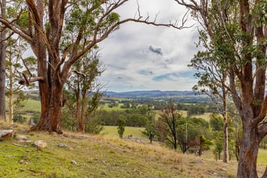 Property 1712 Stroud Hill Road, Dungog NSW 2420 IMAGE 0