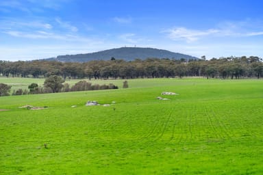 Property Lot 1 & 2 Bradford Road, BARINGHUP VIC 3463 IMAGE 0