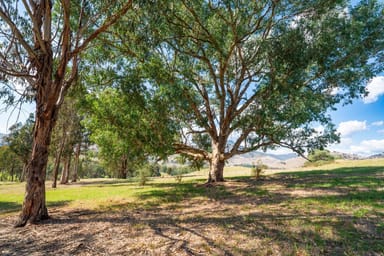 Property . Omeo Highway, Tallangatta VIC 3700 IMAGE 0