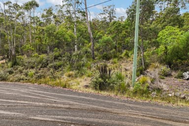 Property 16 Brewis Place, LAKE LEAKE TAS 7210 IMAGE 0