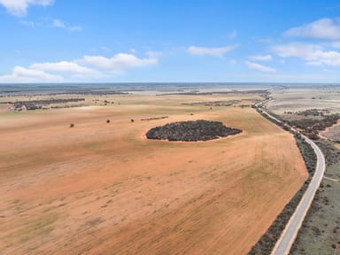 Property 'Lindsay' Lindsay Point Road, Murtho SA 5340 IMAGE 0