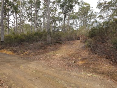 Property Lot 2, Brittains Road, GARDEN ISLAND CREEK TAS 7112 IMAGE 0